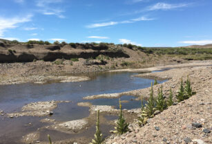 Río Colorado Sequía