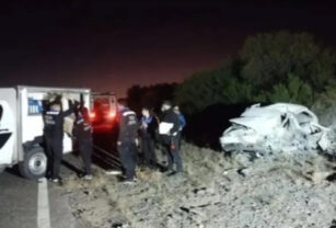 accidente de camionero que rebotó contra vaca
