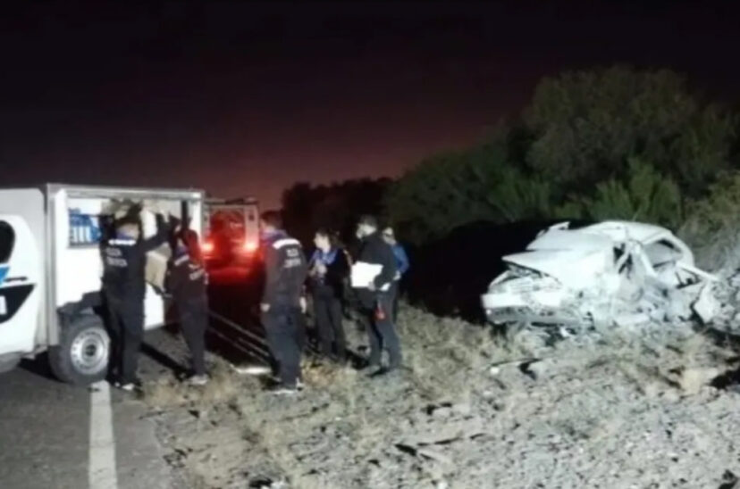 accidente de camionero que rebotó contra vaca