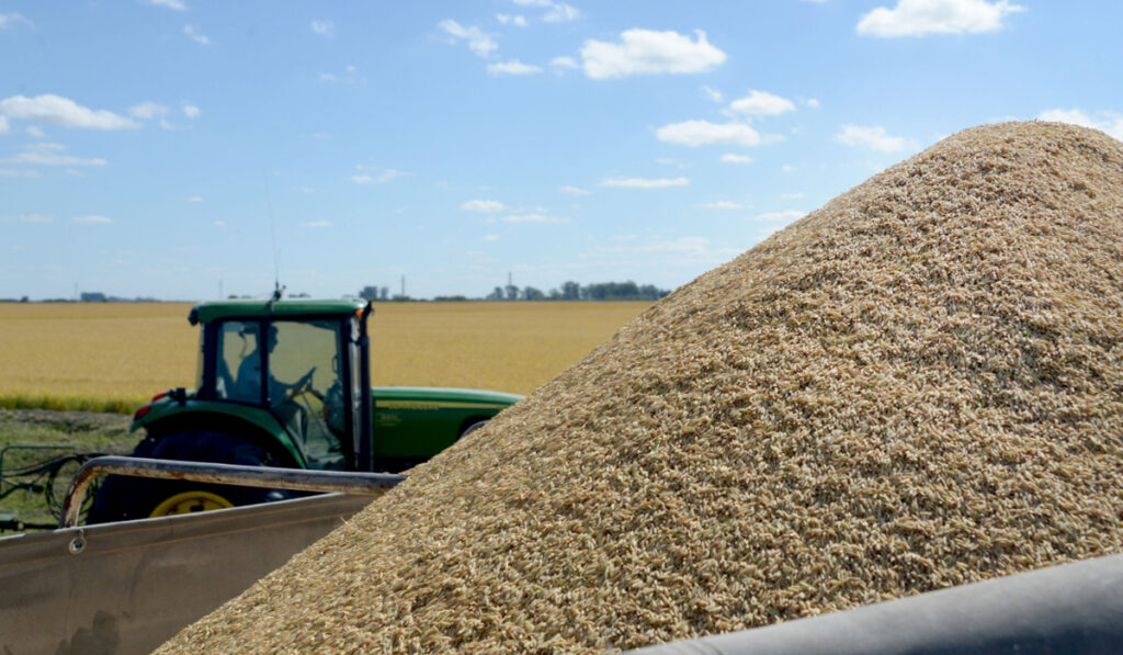 arroz economías regionales exportar