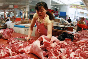 china carne vacuna argentina
