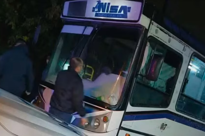 colectivo de chofer asesinado