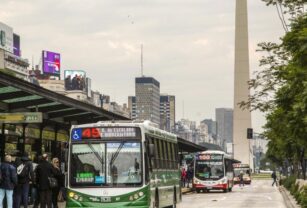colectivos