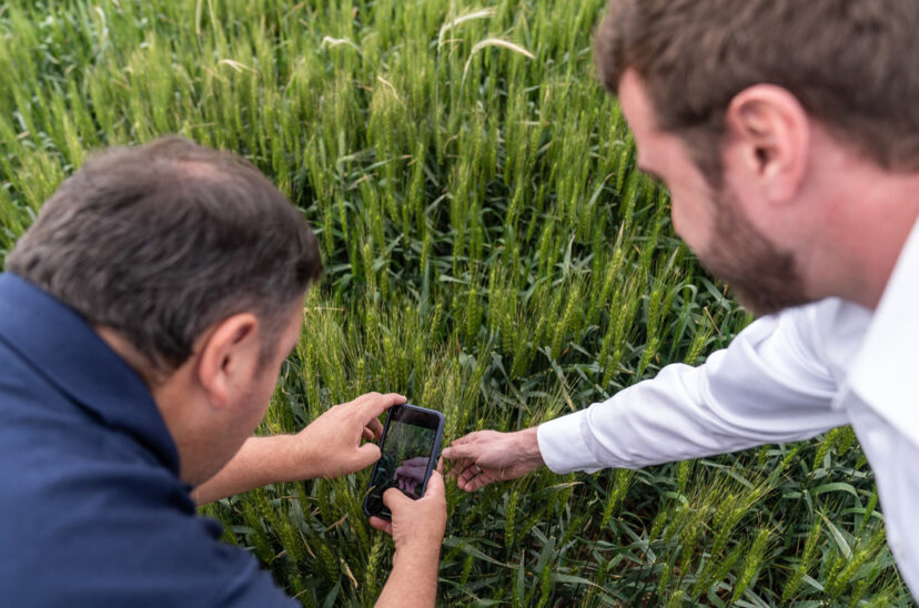 inteligencia artificial cultivos agtech
