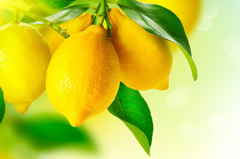 limones economías regionales