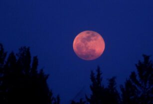 luna rosa