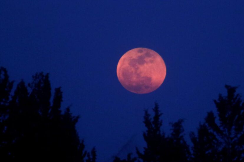 luna rosa