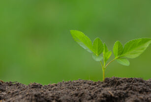 nutrición cultivos fertilizar fertilidad 2023 Simposio Fertilidad cultivos