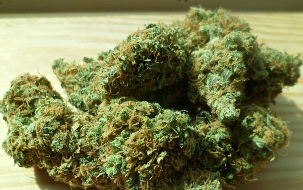 thc marihuana