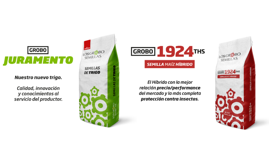 trigo y maíz los grobo