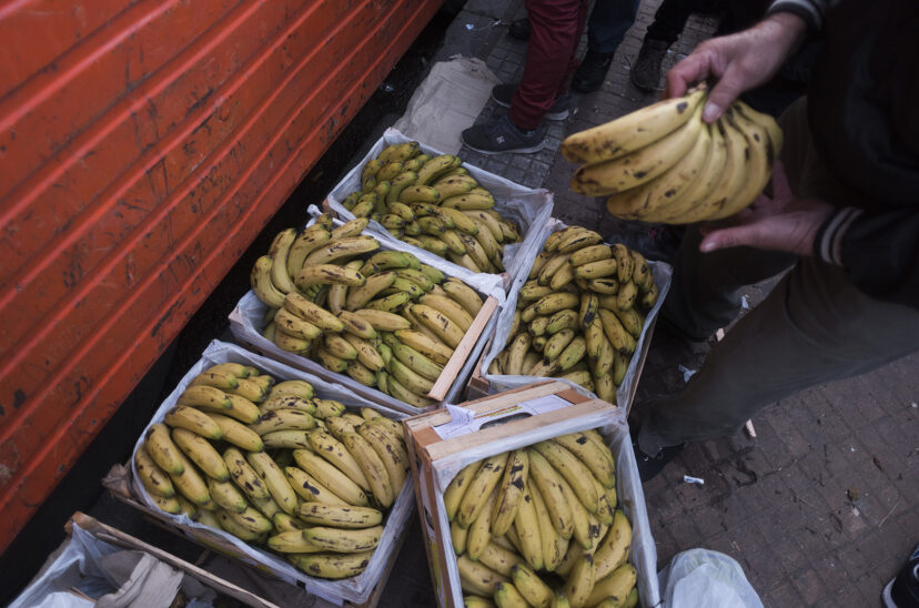 Bananas cocaína secuestraron