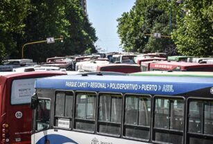 Colectivos