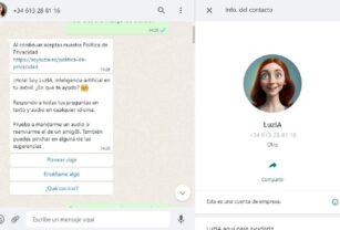LuzIA WhatsApp