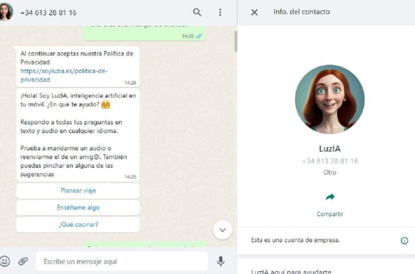 LuzIA WhatsApp