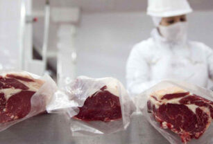 carne vacuna exportación Registros de control