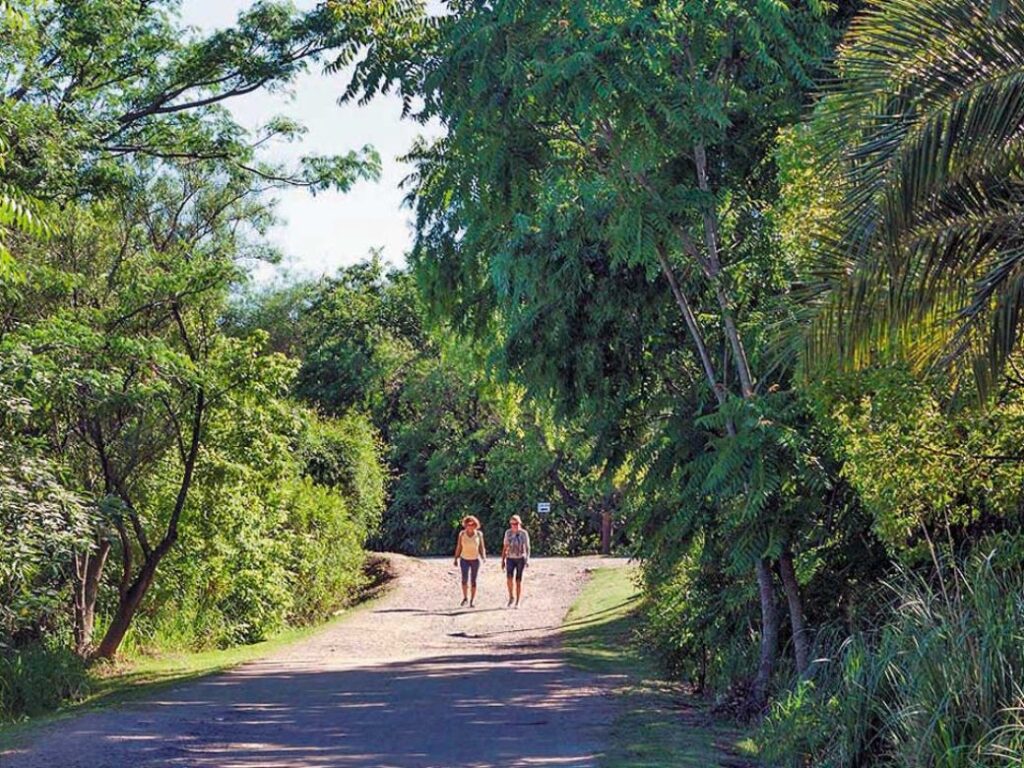 reserva ecológica costanera sur