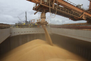 exportaciones granos superávit comercial agroexportaciones balanza comercial