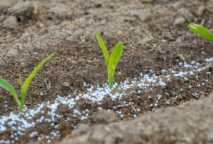 fertilizantes