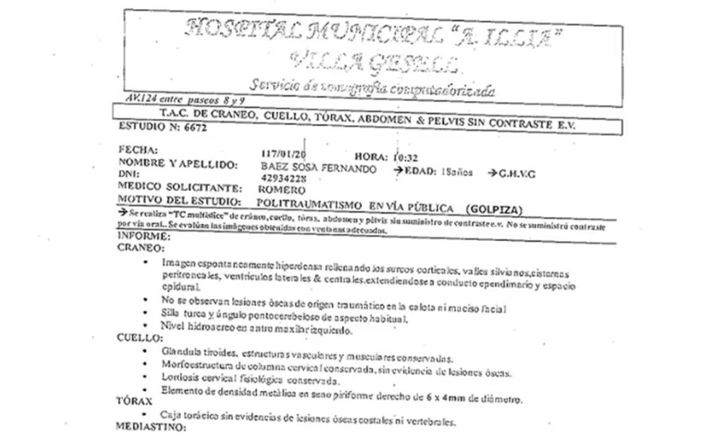 informe fernando báez sosa