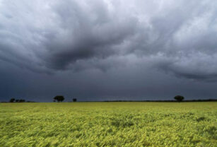 lluvias en la zona núcleo