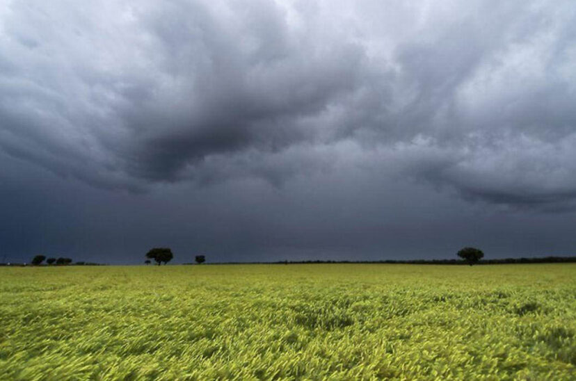 lluvias en la zona núcleo