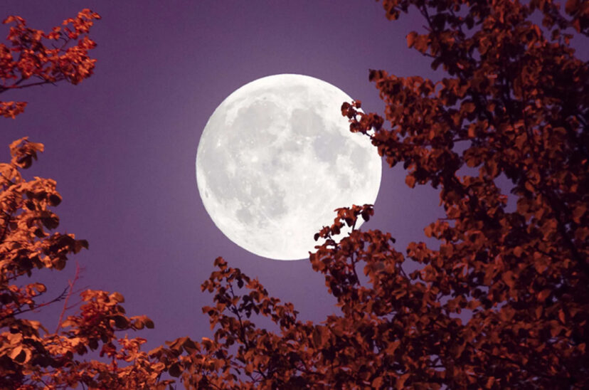 luna