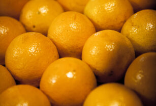 naranjas orgánicos