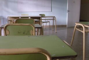 paro docente
