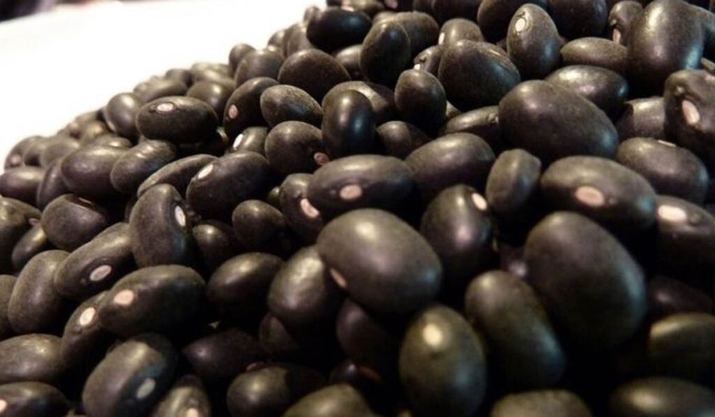 porotos negros exportaciones