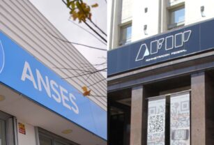 AFIP ANSES Ganancias