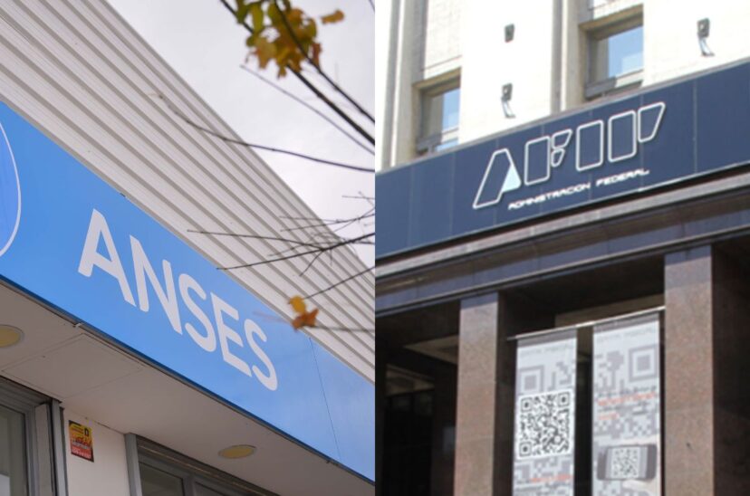 AFIP ANSES Ganancias