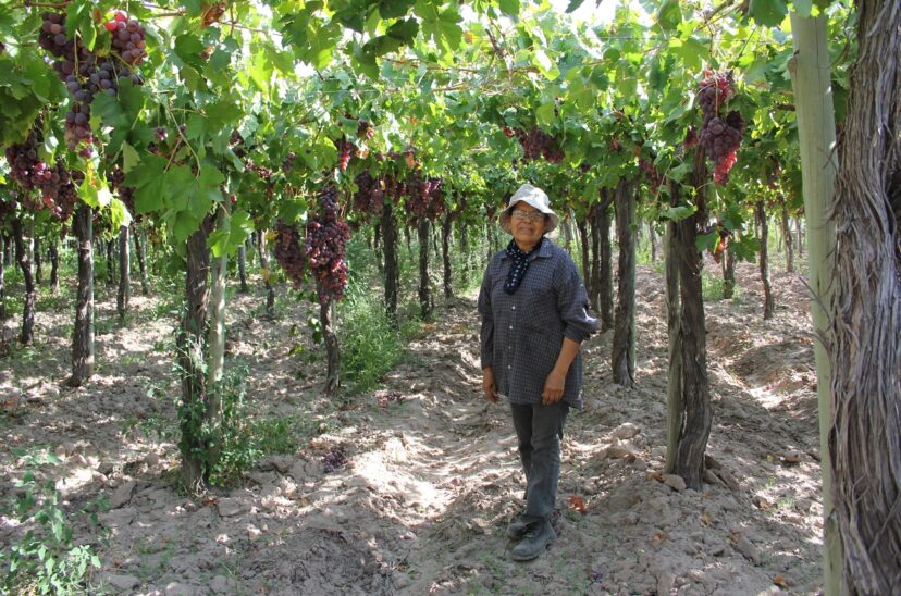 trabajo mujeres agropecuario