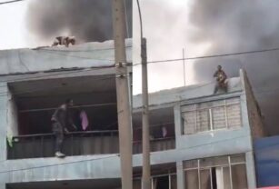 Rescató perros