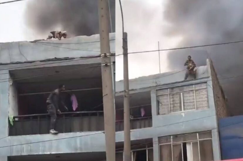 Rescató perros