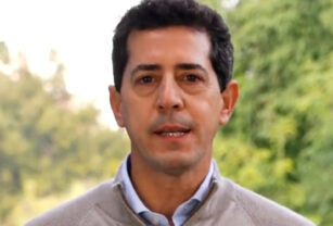 Wado de Pedro