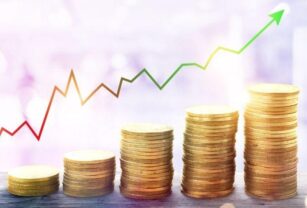actividad economica
