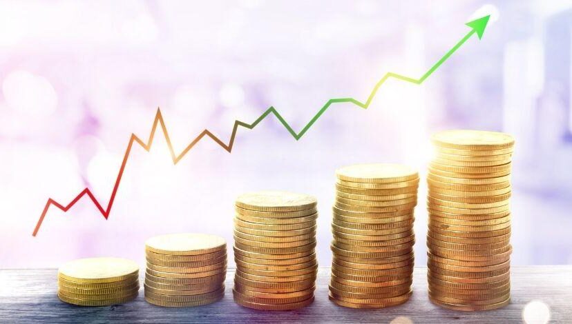 actividad economica