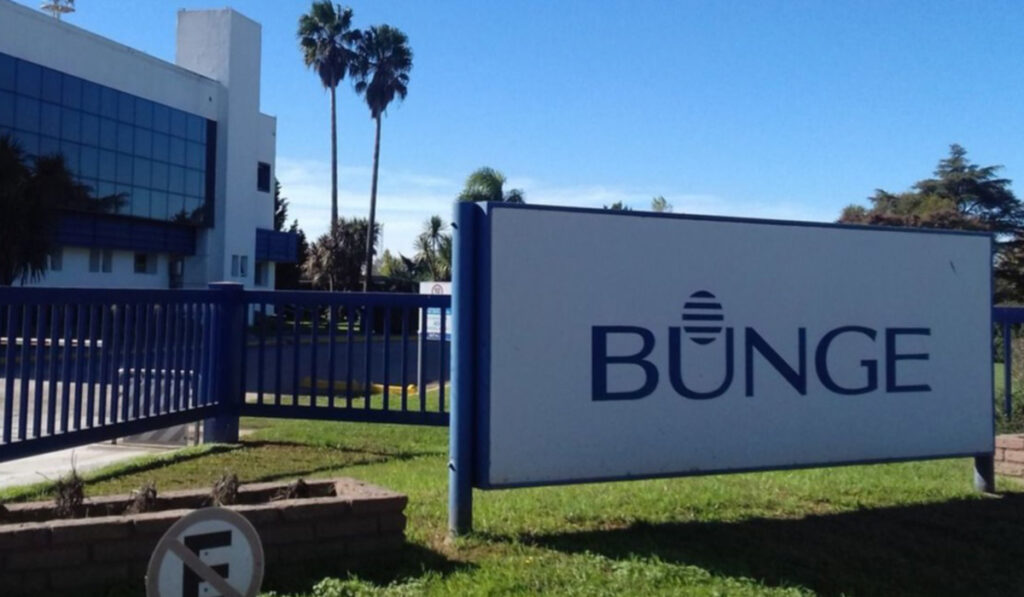 bunge 2
