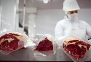 exportación de carne vacuna