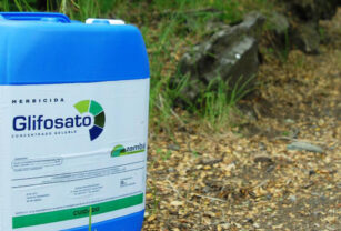 glifosato prohibición uso de glifosato