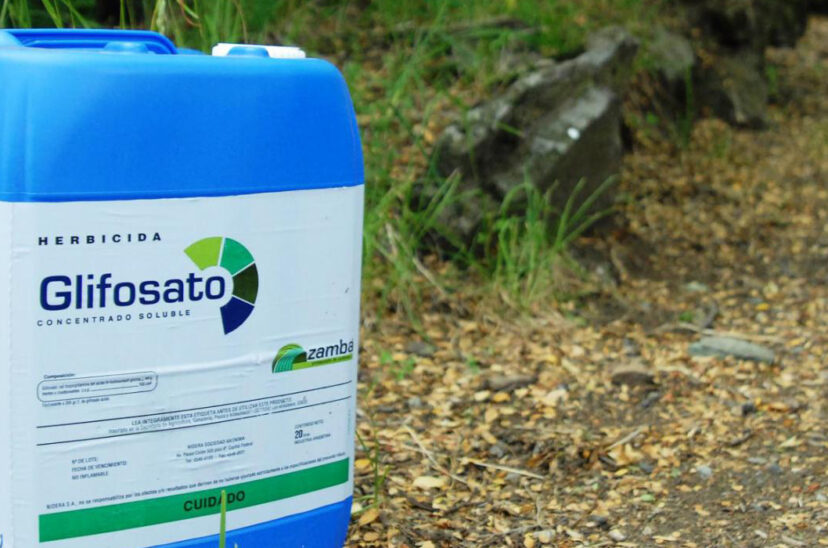 glifosato prohibición uso de glifosato