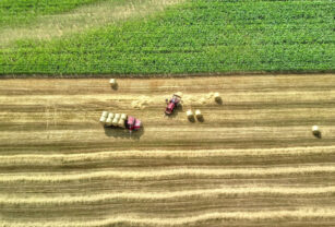 imagen NASA cultivos agricultura regenerativa