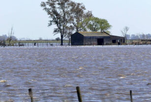 inundaciones campo inteligencia artificial