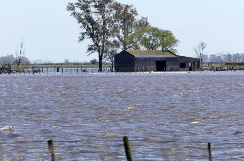 inundaciones campo inteligencia artificial