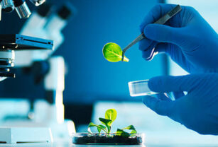 laboratorio molecular
