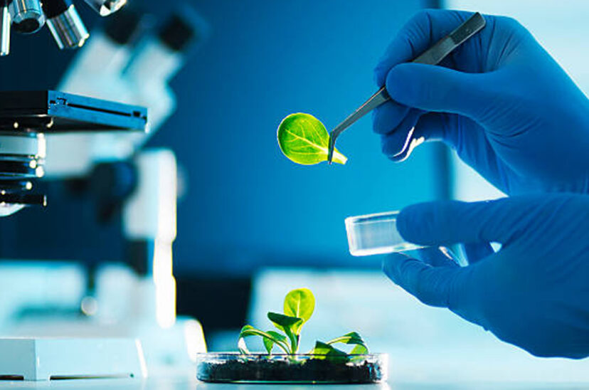 laboratorio