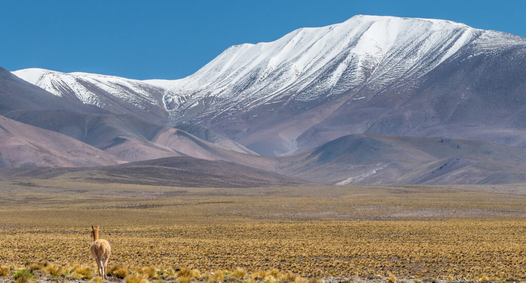 laguna blanca