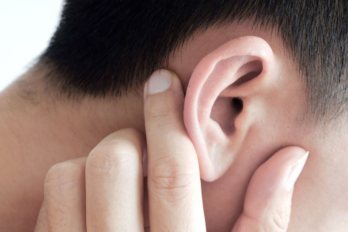 oreja