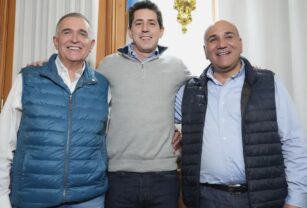 Wado, Manzur y Jaldo
