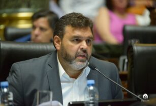 Facundo Del Gaiso